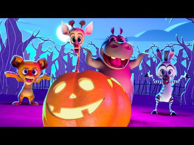 A Fangtastic Halloween!  Madagascar | Animal Friends