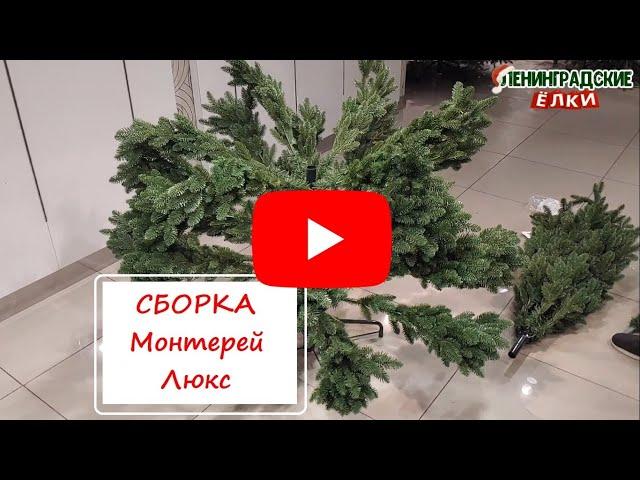 Ель "Монтерей" Люкс Видео сборка елки 210 см