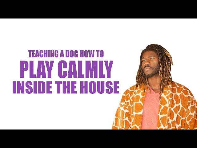 TEACHING A DOG HOW TO PLAY CALMLY INSIDE THE HOUSE