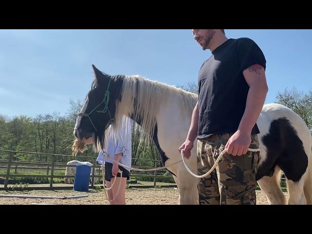 Equine Facilitated Learning Demo Video 1