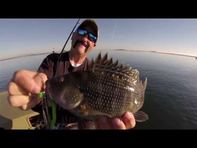 Show Opener - The Baymen Life with Capt. Dave