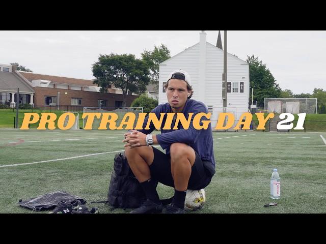 Professional Training Day 21