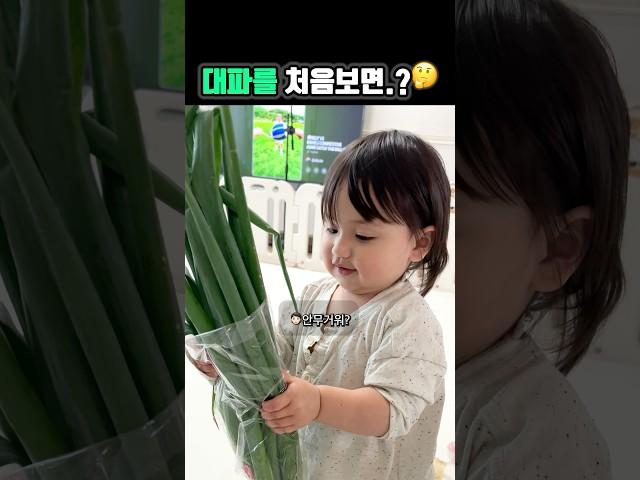 대파와 사랑에 빠진 이설이 ~!#국제커플 #혼혈아기