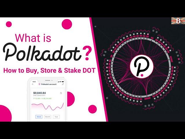 Polkadot Tutorial for Beginners: How to Buy, Store & Stake PolkaDot DOT Tokens