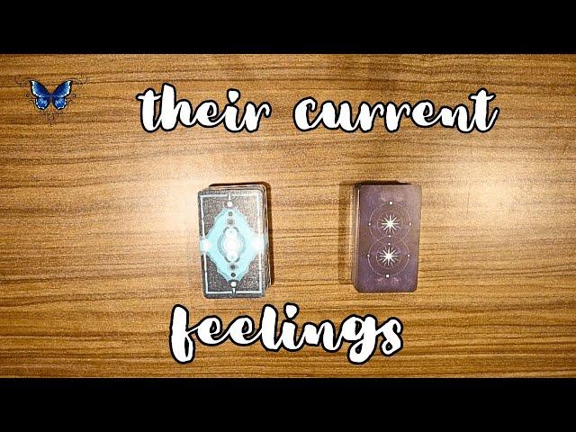  WHAT ARE THEIR CURRENT FEELINGS FOR YOU?   Timeless Tarot Reading 