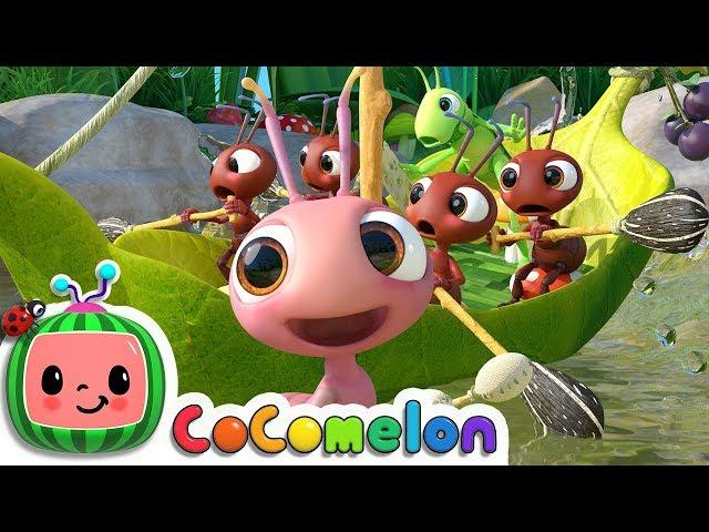 Row, Row, Row Your Boat (Ant Version) | CoComelon Nursery Rhymes & Kids Songs