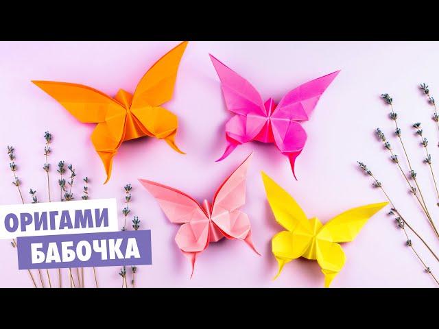 Origami paper butterfly