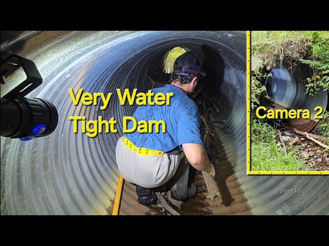 Draining Flooded Beaver Pond Into An Empty Pond And Watching It Fill. Water Tight Damn (Full Video)