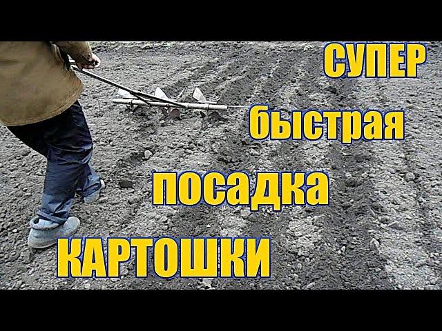 #2. Супер быстрая посадка картошки/СУПЕР РАЛО/ РУЧНАЯ КАРТОФЕЛЕСАЖАЛКА.