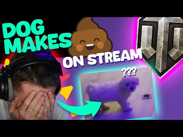 Dog makes  on Twitch - TOP Funny Moments World of Tanks | Ep. 18