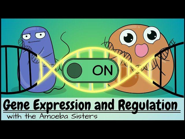 Gene Expression and Regulation