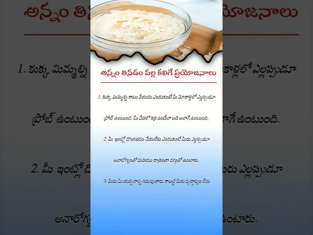 Top 3 Amazing Health Benefits of Eating Rice Daily | Boost Your Eyesight & Stay Youthful
