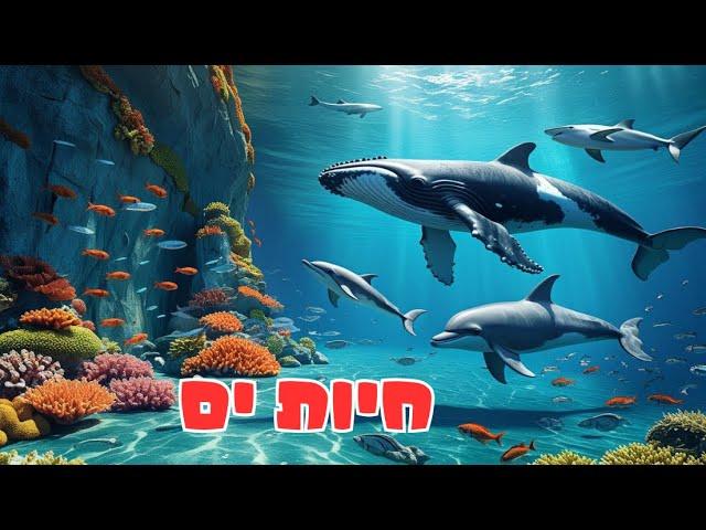 חיות ים לילדים ולפעוטות  ליוותן כריש דולפין ועוד  בואו איתנו למסע מתחת למים  קולות של חיות