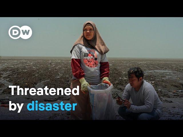 Plastic waste, deforestation and floods - Indonesia’s environmental disasters | DW Documentary