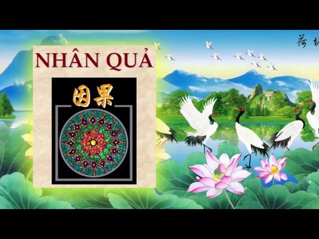 Giải Nghi Về Luật Nhân Quả (Phần 1) - Tác Giả Trưởng Lão Thích Thông Lạc