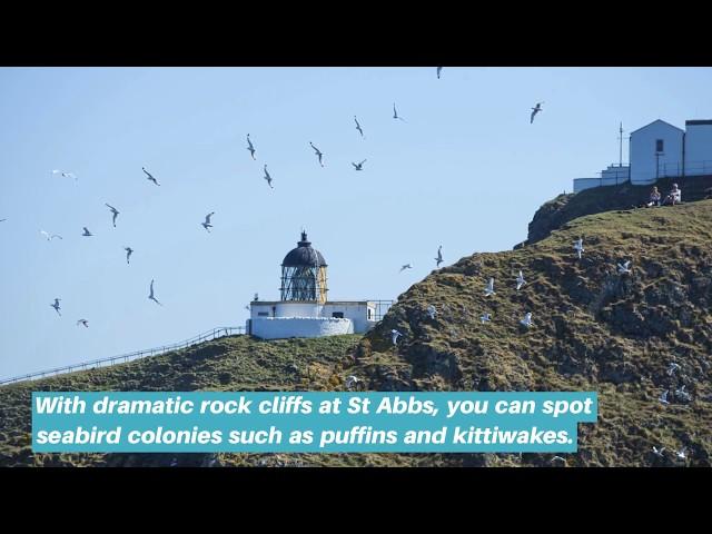 National Trust for Scotland's Nature Reserves