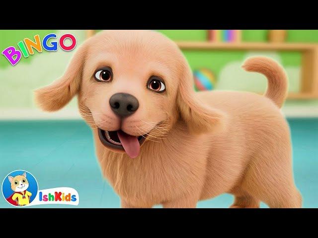 Bingo the dog song - sing along with fun animal rhymes