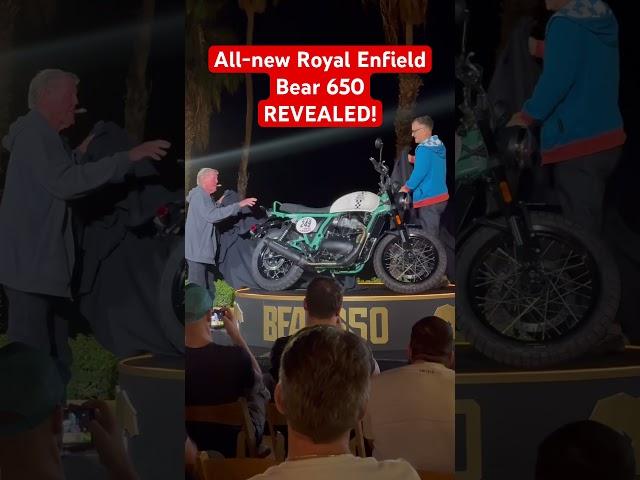 2025 Royal Enfield Bear 650 REVEALED! #royalenfield #Bear650 #scrambler