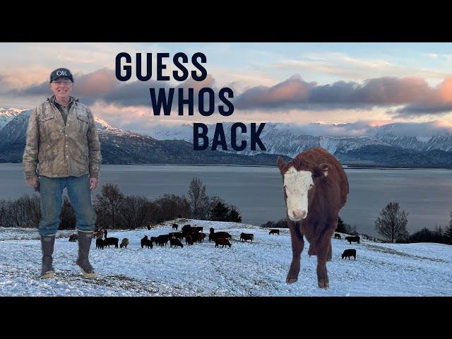 Otto Kilcher from Alaska's Last Frontier || Join Me on YouTube!