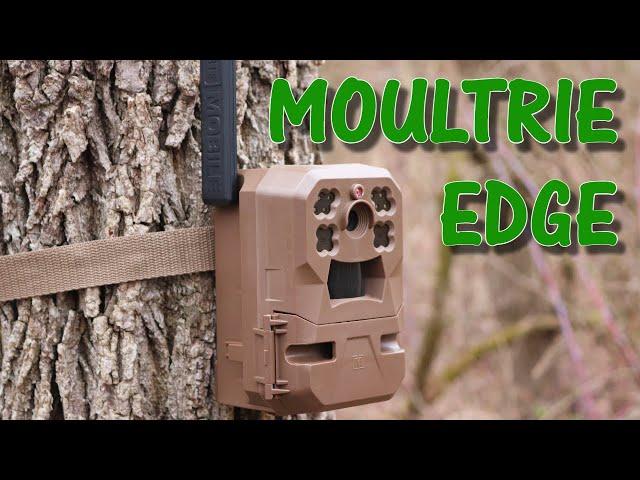 From Zero to Hero? Moultrie Edge Cellular Trail Camera Update: Field Test and Review