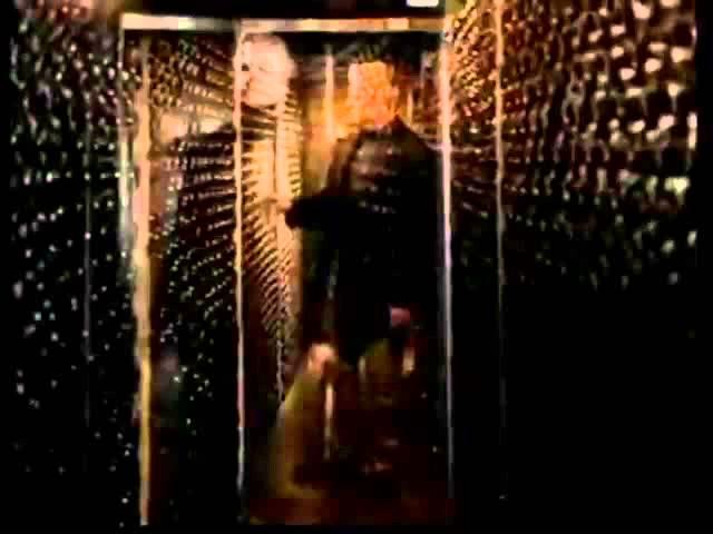 2004 张裕解百纳干红葡萄酒 TV Commercial