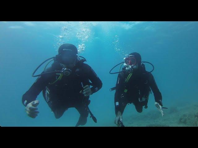 23 08 4K Bikini Dive Dani Discovery Dive