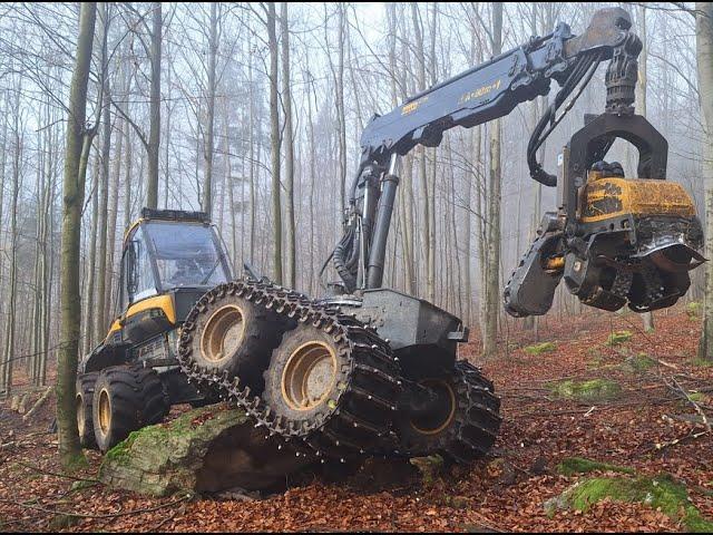 Ponsse Ergo / Beech wood (die Buche) with terrain tracks (bänder) /hill