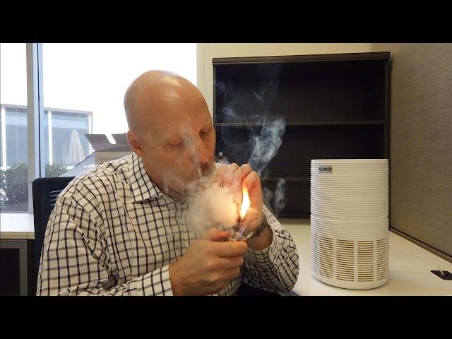 Renpho Air Purifier Review for Cigar Smokers