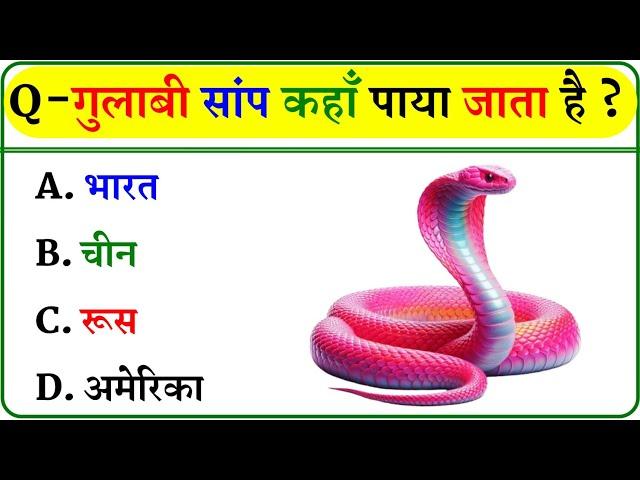 GK Question || GK In Hindi || GK Question and Answer || GK Quiz ||