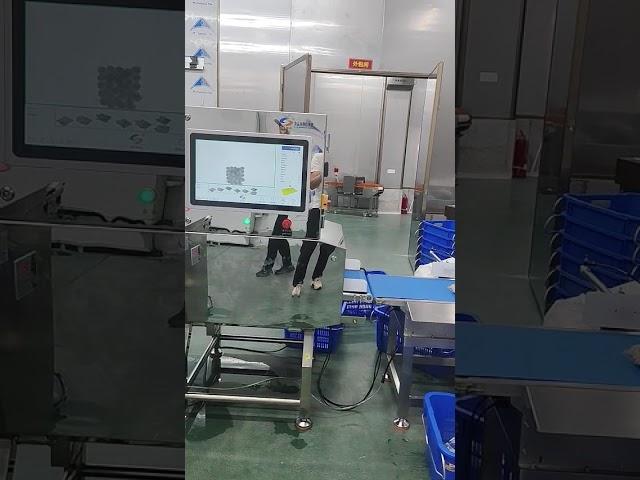JZXR Food X ray Inspection System for Meat Balls #foodsafety #machine #juzheng