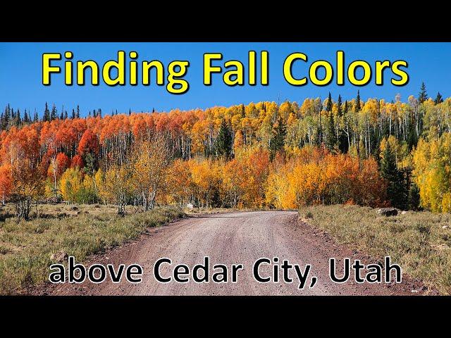 Fall Colors Above Cedar City Utah