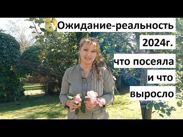 Ожидание - реальность 2024г.