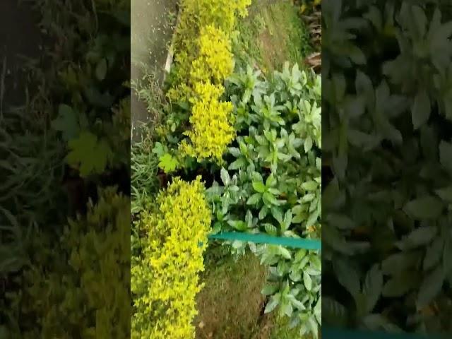 nature #travelblog #vlog #travelvideo #only #sdk #travelvlog