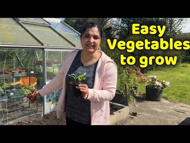 The Secret to Growing Amazing Organic Vegetables at Home Revealed!