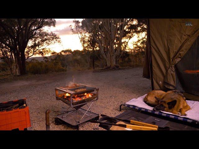 SOLO CAR CAMPING on MOUNTAIN with DOG [ASMR RELAXING 4WD TRUCK]