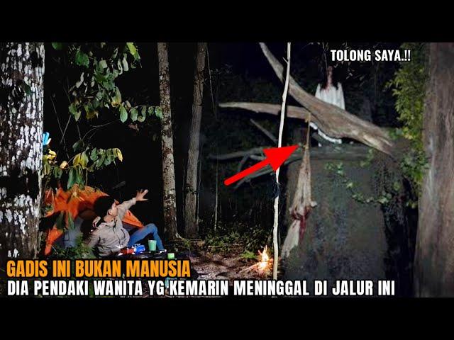 CAMPING HOROR: KEDATANGAN HANTU GADIS PENDAKI SAAT AKU CAMPING DI TEMPAT DIA MENINGGAL MENGENASKAN