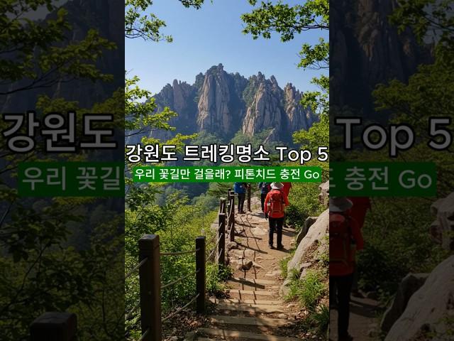 강원도 트레킹 명소 TOP5 꽃길만 걸을래? 봄 감성 힐링 여행 완전 정복! | 피톤치드 충전하고 가세요