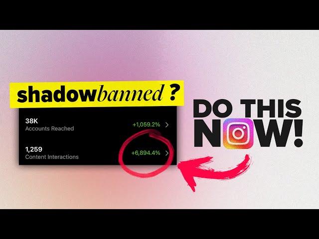 THIS Is Why Your Reach Is So Low (Instagram Algorithm)