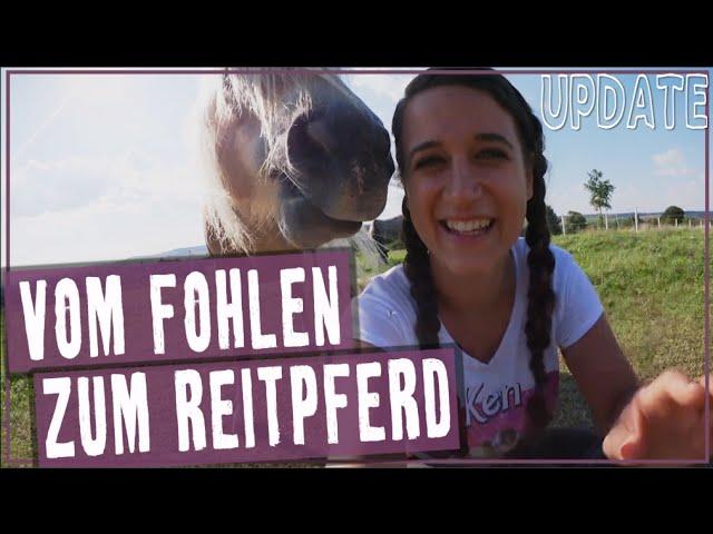 Vom Fohlen zum Reitpferd Update 