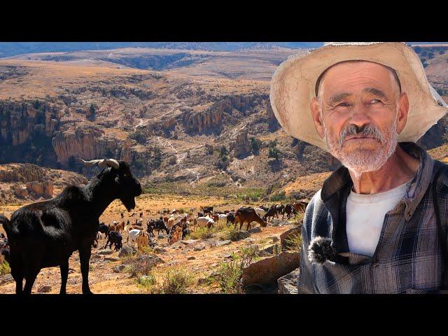 LAS VEREDAS de las CHIVAS - A sus 74 años sigue de CHIVERO
