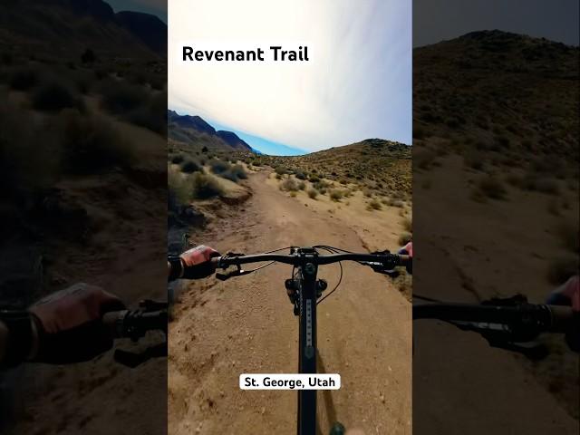 Hardtail MTB Quick as an Arrow down Fun Desert Jump Line #mtb #haro #hardtail #dji #shorts