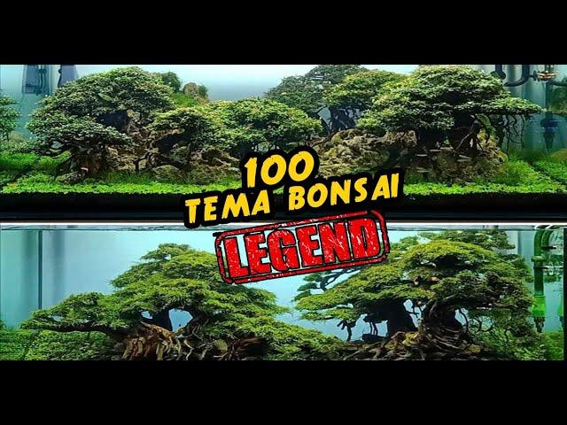 100 TEMA BONSAI AQUASCAPE TERBAIK !!! @nickzaquascapegallery GALLERY