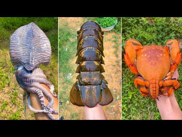 1 Đồng Mua Được Gì? P17 | Tik Tok Trung Quốc | Moo VN