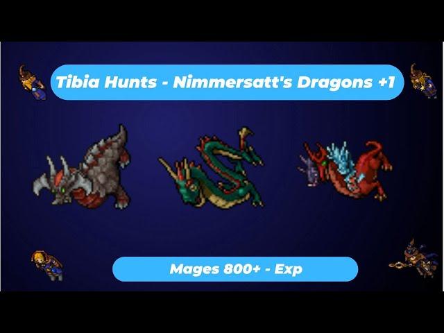 Tibia Hunts Exp - Lv 800+ Mages  - Nimmersatt's Dragons +1