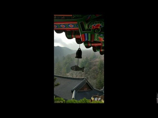 부처님말씀63 ㅡ 법보시