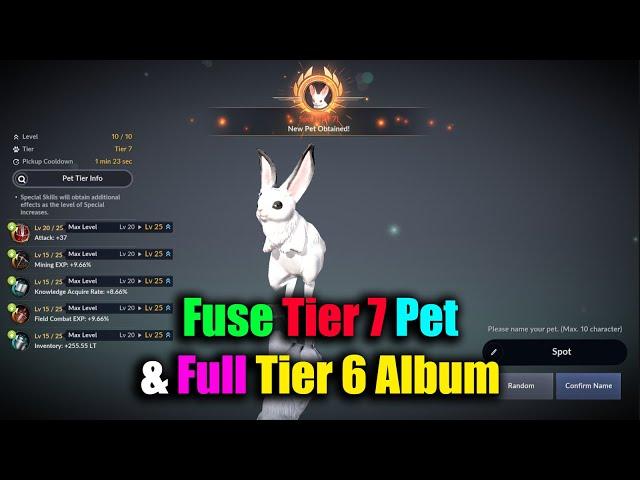 Black Desert Mobile Fuse Tier 7 Pet & Full Tier 6 Pet Album