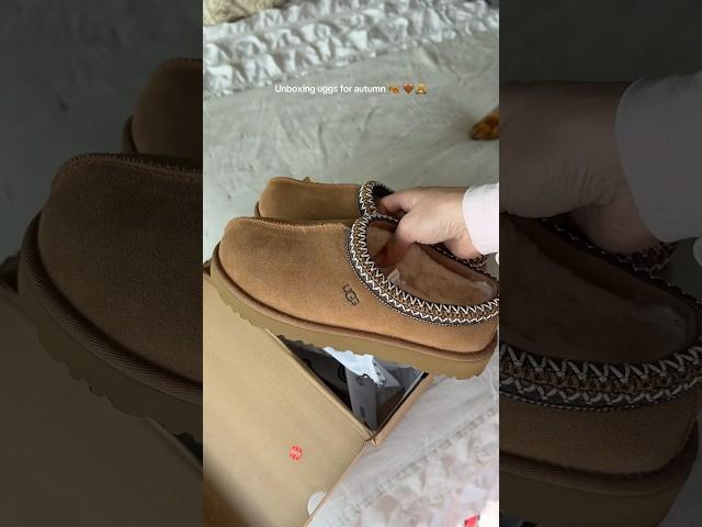 Unboxing my Tasman uggs for autumn  #shorts #uggs #autumn #thatgirl