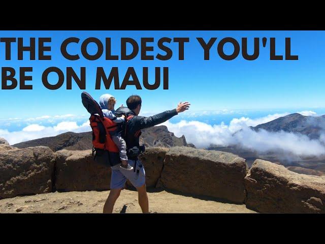 Haleakala National Park Maui Day Trip | Family Adventure Up the Volcano (coffee included)