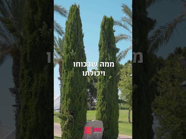 ממתק מהרבי לתחילת שבוע