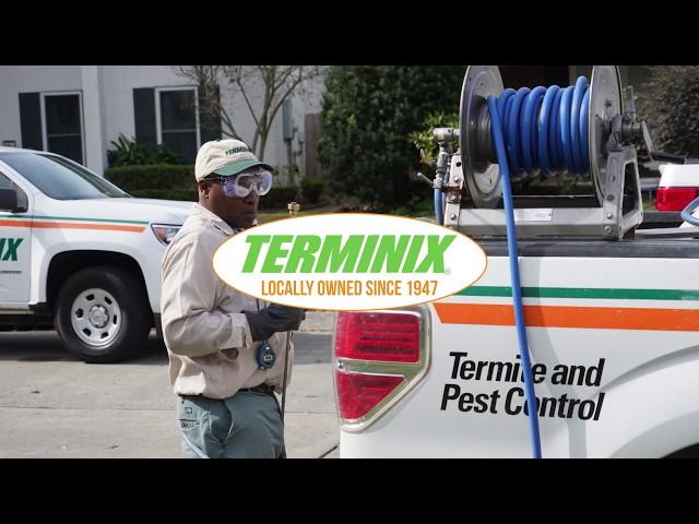 Terminix Termite and Pest Control